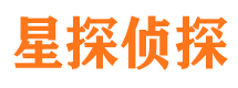 长武侦探公司